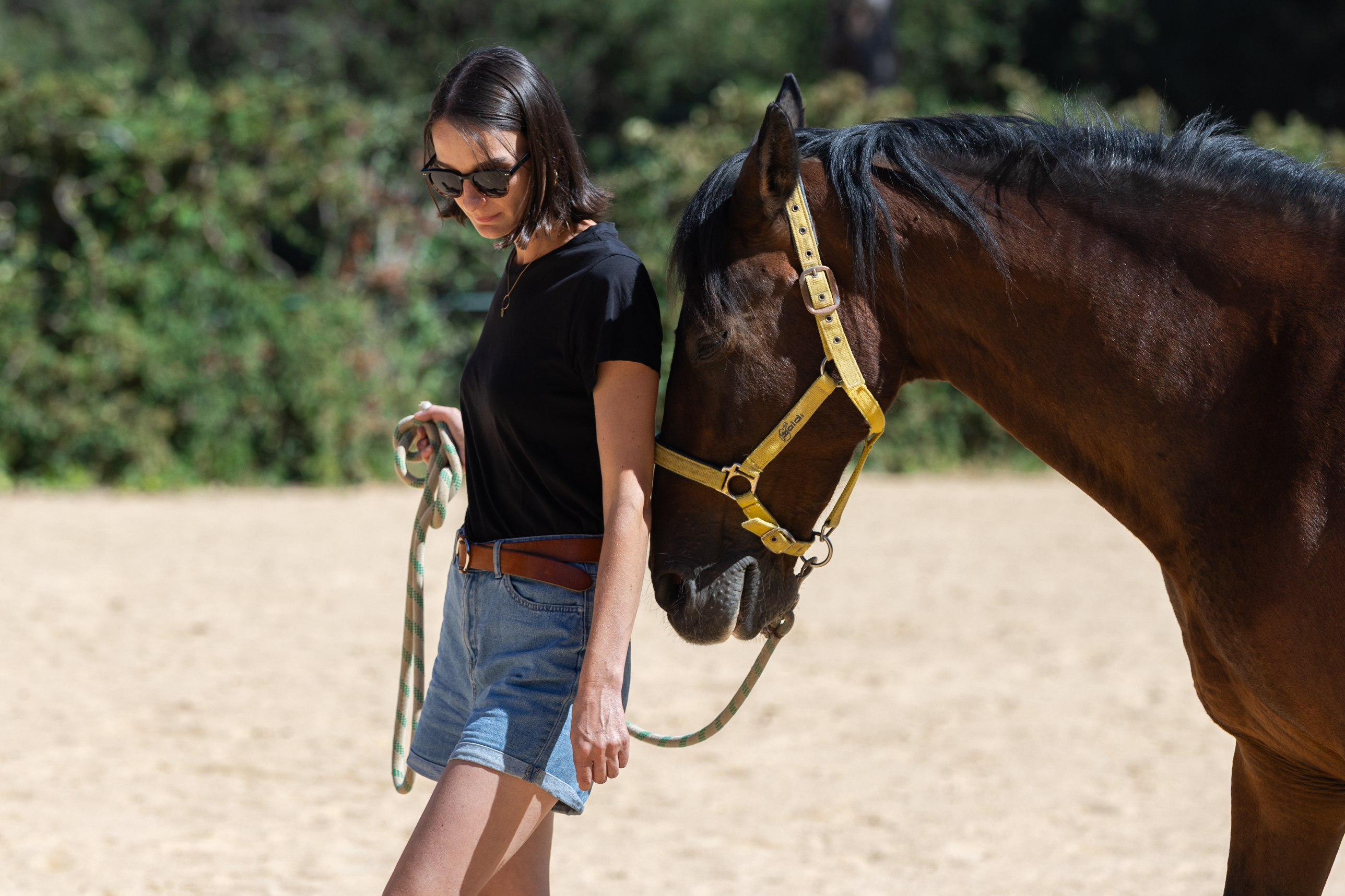 Une participante marche côte à côte avec un cheval lors d’une séance Hoofprint