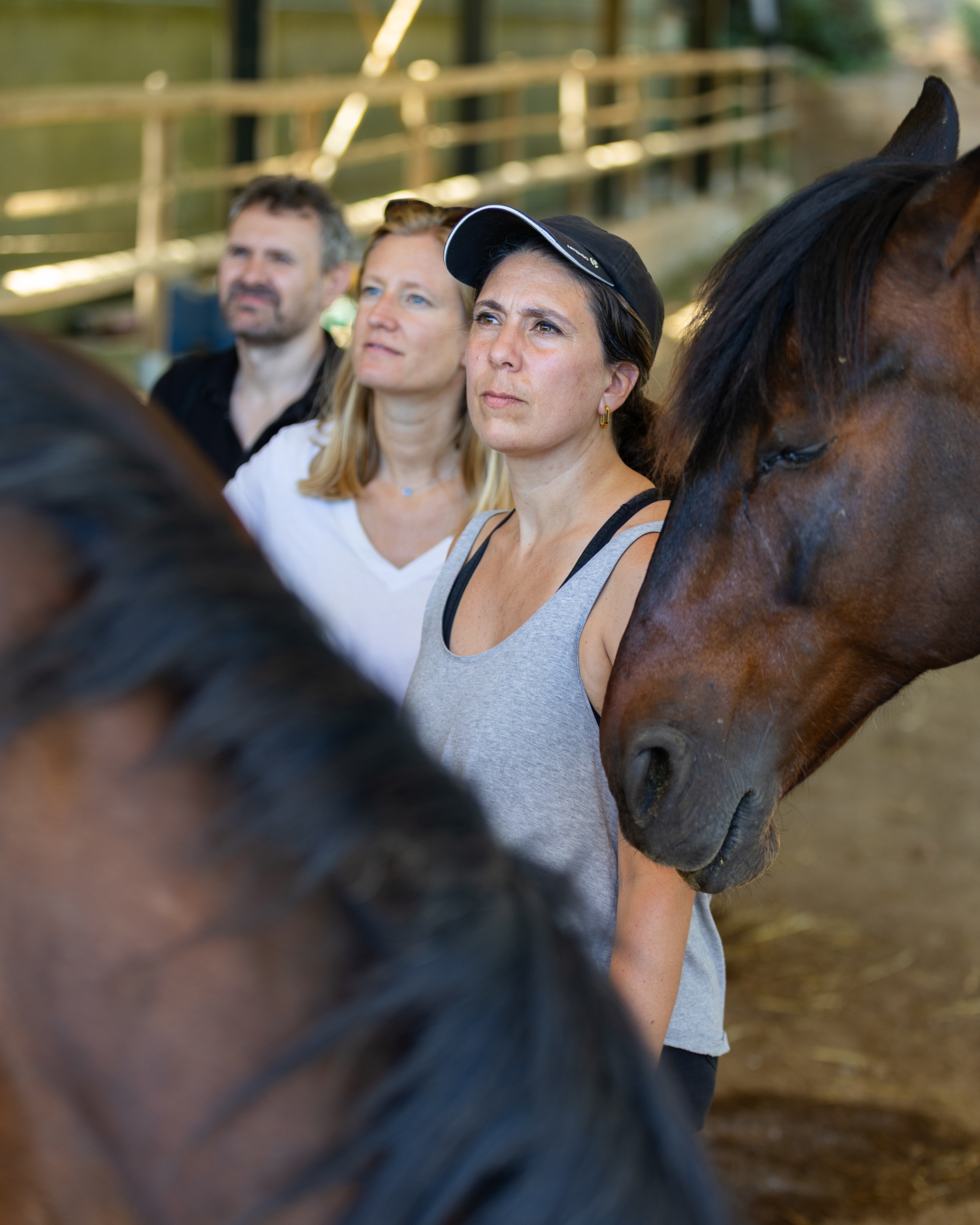 Trois dirigeants observent ensemble un cheval lors d’un exercice collectif
